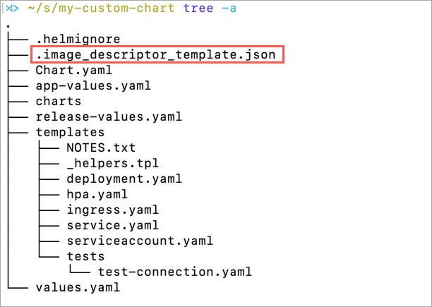 Figure 2: Filepath of Image Descriptor Template