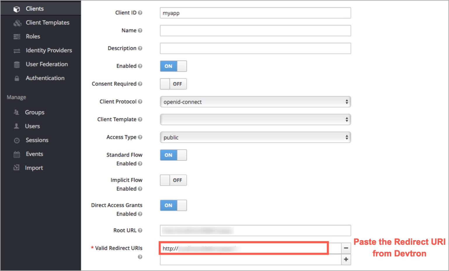 Pasting Redirect URI