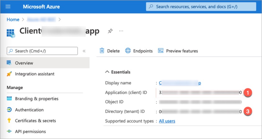 Fetching Client ID and Tenant ID