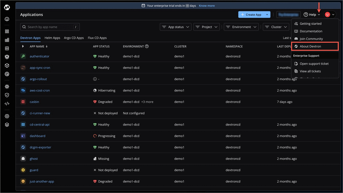 Figure 18: 'About Devtron' Help Menu