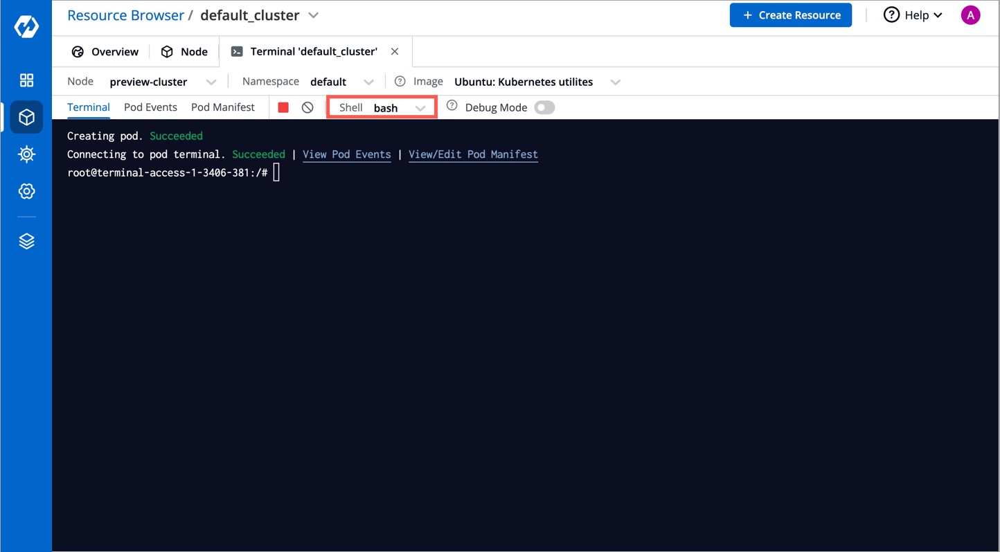 Figure 3b: Debug Terminal